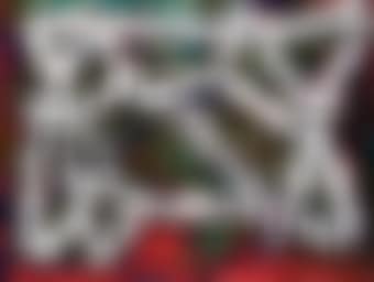 Carcajoux (preview)