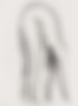 Nu (preview)