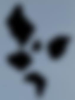 Constellation (preview)
