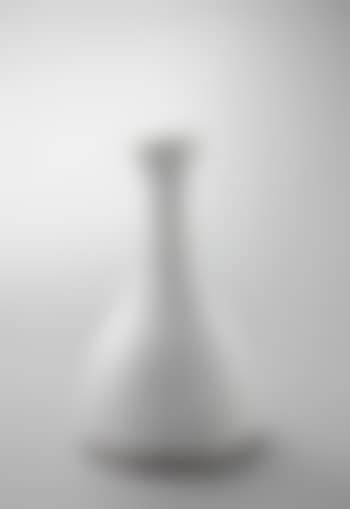Large bottle vase (preview)