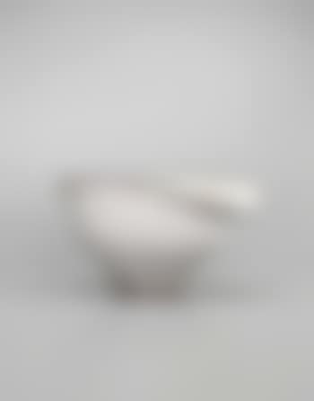 Salad bowl (preview)