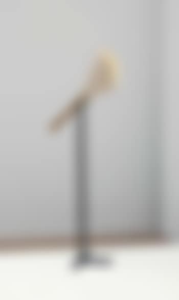 Rare floor lamp (preview)