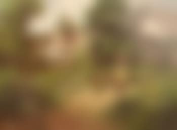 Jeune paysanne dans son jardin (preview)