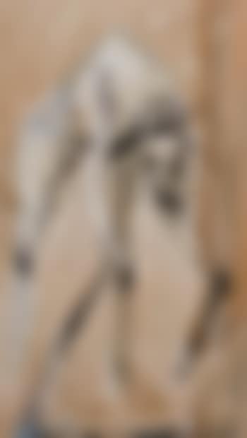 Castle Island lad (preview)