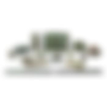 Grapevine: An Extensive Desk Set (preview)