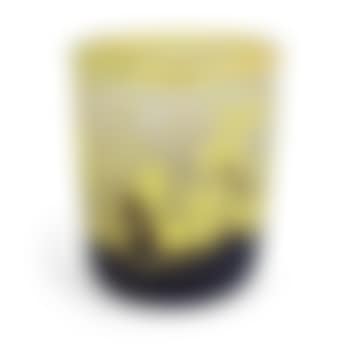A 'Butterfly'  Vase (preview)