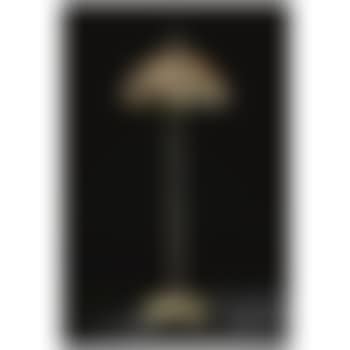 A Fine And Rare 'Magnolia' Floor Lamp (preview)