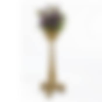 A Rare Plant Stand (preview)