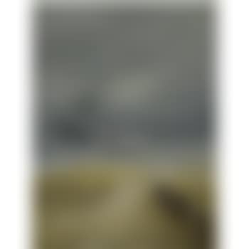 The Lifeboat (preview)