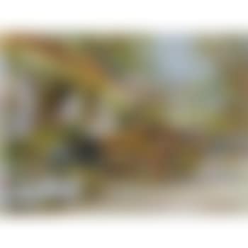 The Flower Seller (preview)