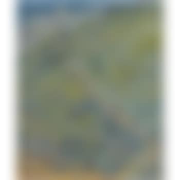 Hillside In Summer (preview)