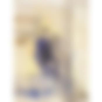 Woman In Blue, Seated In An Interior (preview)