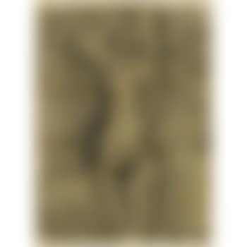 Desnudo (preview)