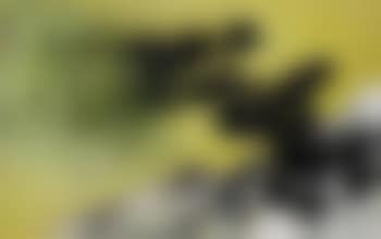 Abstract green (preview)