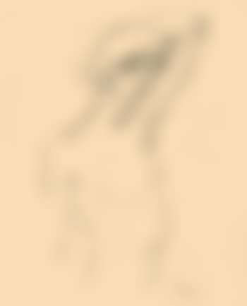 Akt (preview)