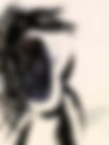 Ohne Titel (preview)