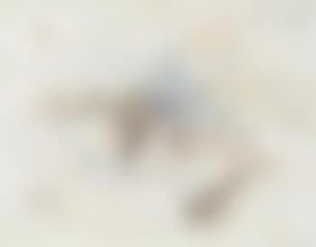 Composition (preview)