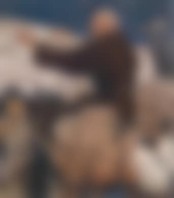 St Francis preaches to the Penguins and waterfowl (preview)