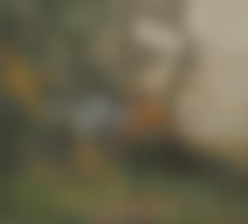 Blaues Haus hinter Bäumen. (preview)
