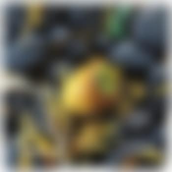Cocco Caduto (preview)
