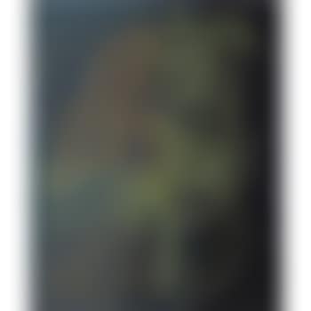 T-1963 H 50 (preview)