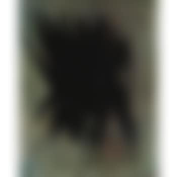 T 1958 1 (preview)