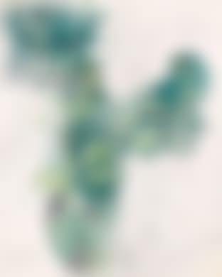 Branches (preview)
