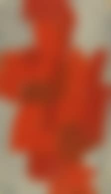 Red on grey - Liechtenstein (preview)