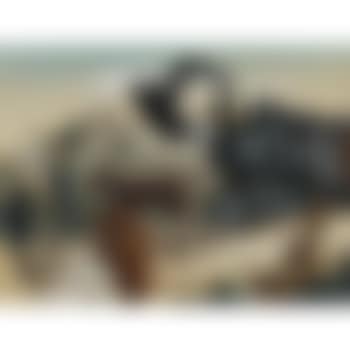 Study For Slow Train Though Arkansas (preview)