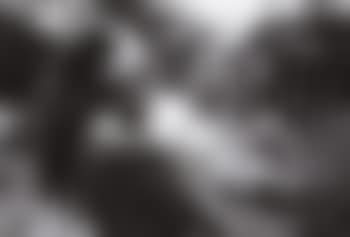 Andrea (preview)