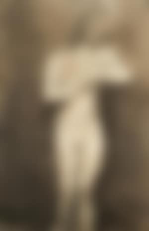Staand naakt (preview)