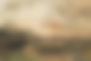 Schaapherder (preview)