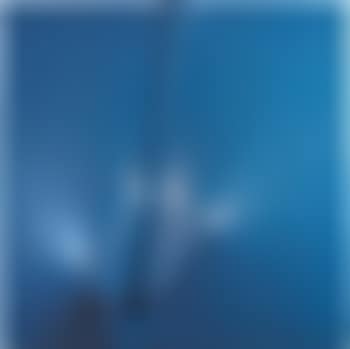 Blu (preview)