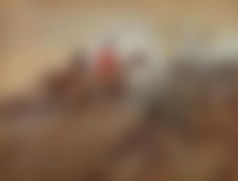 Huntsmen and Hounds in a Field (preview)