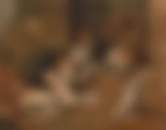 Hounds and a Terrier in a Stable (preview)