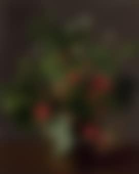 A Strawberry plant in bloom (preview)