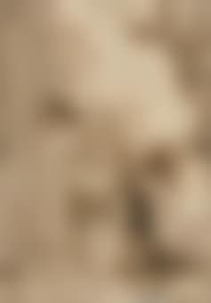 The Christ Child appearing to Saint Mary Magdalen dei Pazzi (preview)
