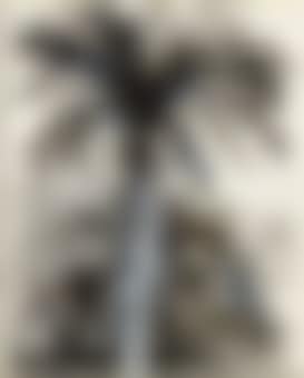 Untitled (Palm Trees) (preview)