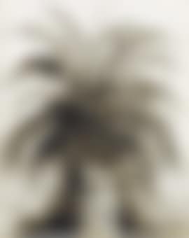 Untitled (Palm trees) (preview)