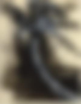 Untitled (Palm Trees) (preview)