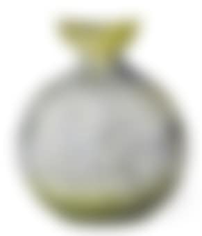 A French Etched Cameo Glass Vase (preview)