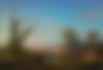 Water Buffalo and a herder in an extensive river landscape, a mountain range beyond, possibly South America (preview)