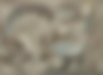 Composition (preview)