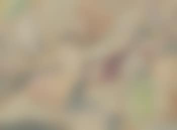 Composition (preview)