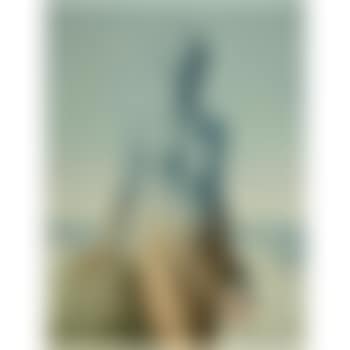 Le Beau Navire (preview)