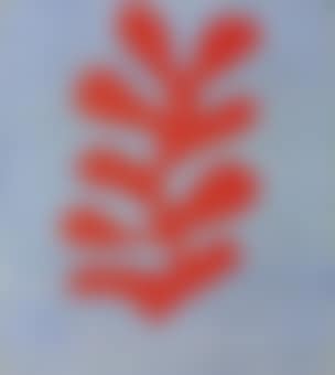Algue rouge sur fond bleu ciel (preview)