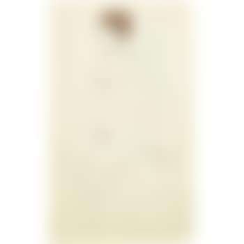 Nu (preview)