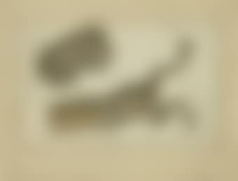 Batraciens (preview)