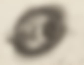 Eye (preview)