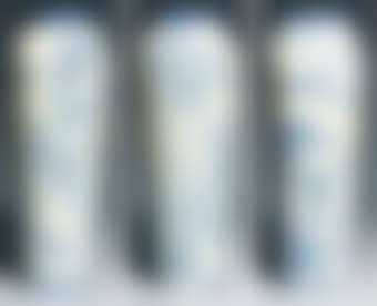 Nus (preview)